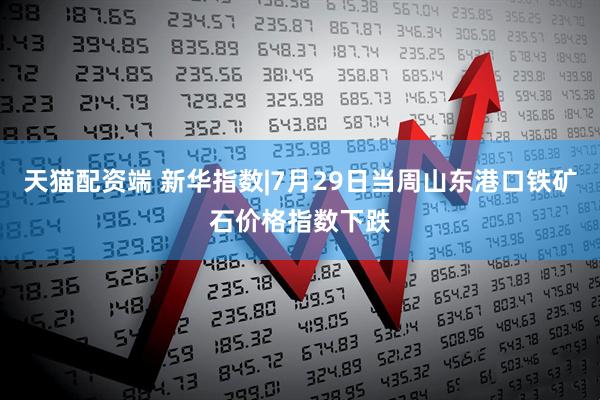 天猫配资端 新华指数|7月29日当周山东港口铁矿石价格指数下跌