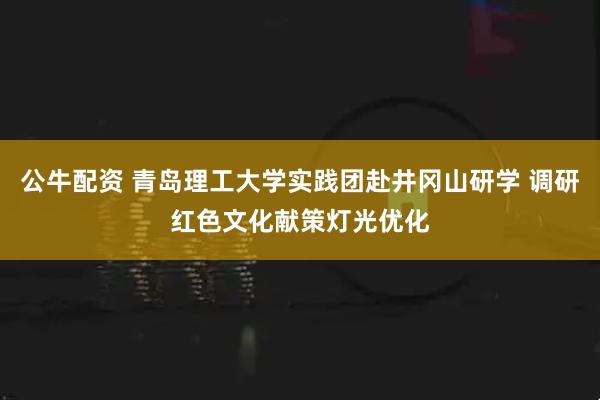 公牛配资 青岛理工大学实践团赴井冈山研学 调研红色文化献策灯光优化