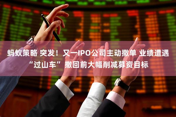 蚂蚁策略 突发！又一IPO公司主动撤单 业绩遭遇“过山车” 撤回前大幅削减募资目标