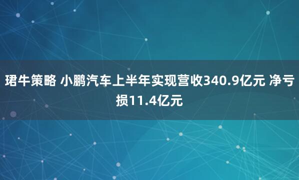 珺牛策略 小鹏汽车上半年实现营收340.9亿元 净亏损11.4亿元