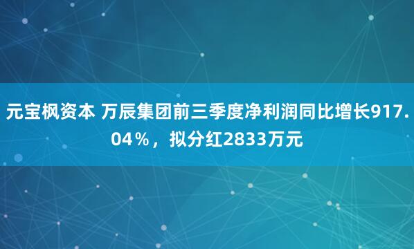 元宝枫资本 万辰集团前三季度净利润同比增长917.04％，拟分红2833万元